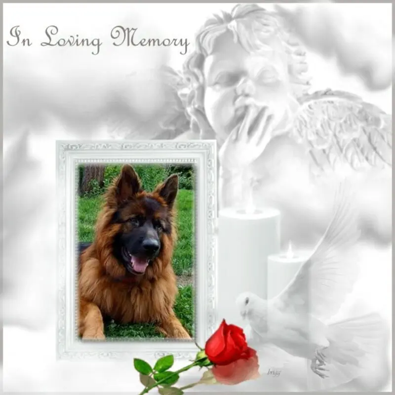 Condolence image of Veronika