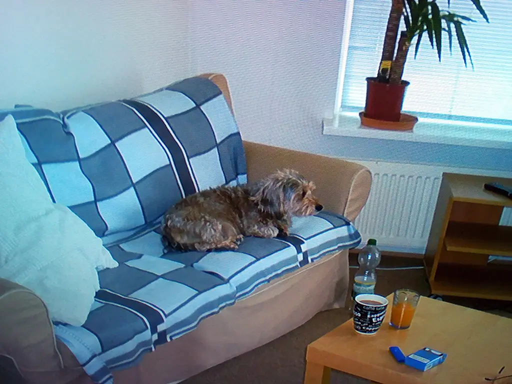 Condolence image of Ulrike