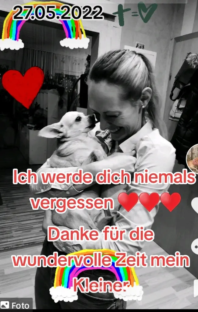 Condolence image of Aneta