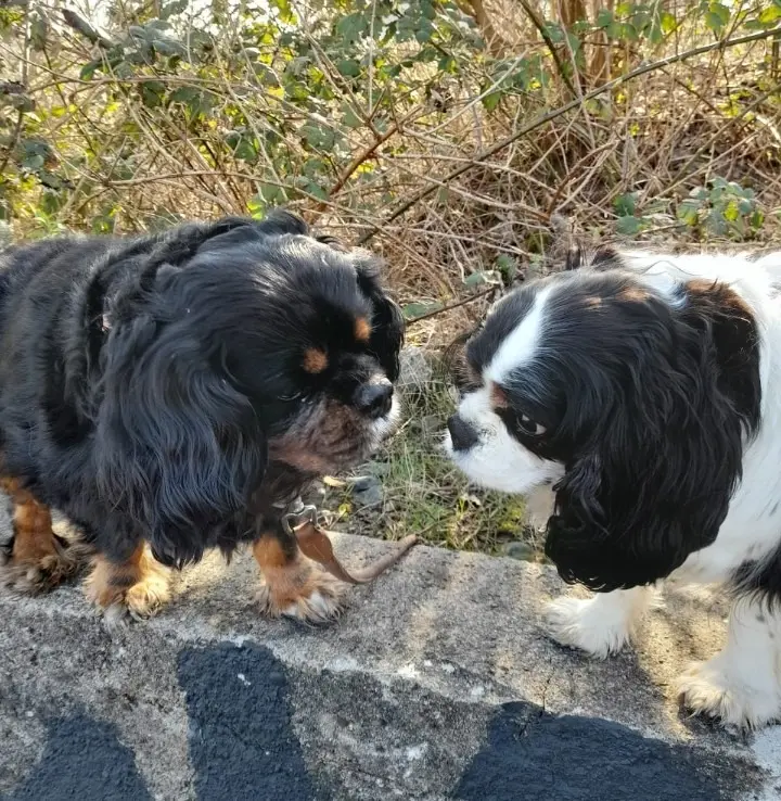 Image from Nikos
