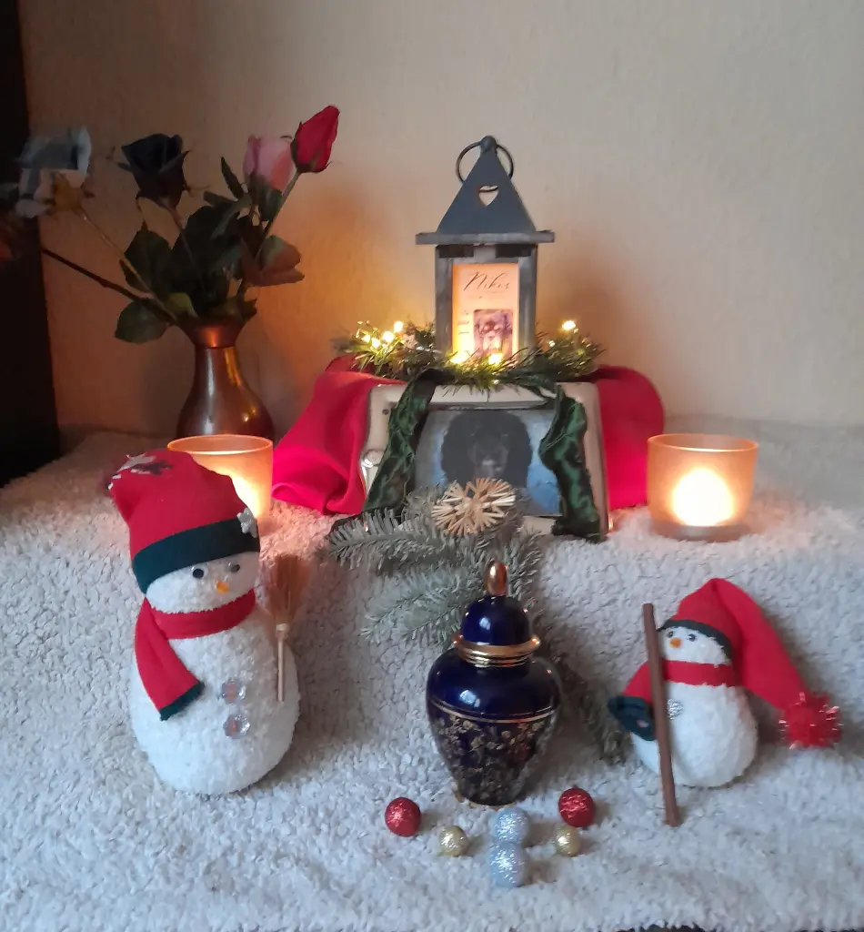 Image from Nikos