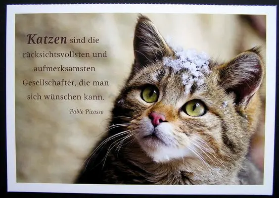 Condolence image of Birgitt mit Dinah