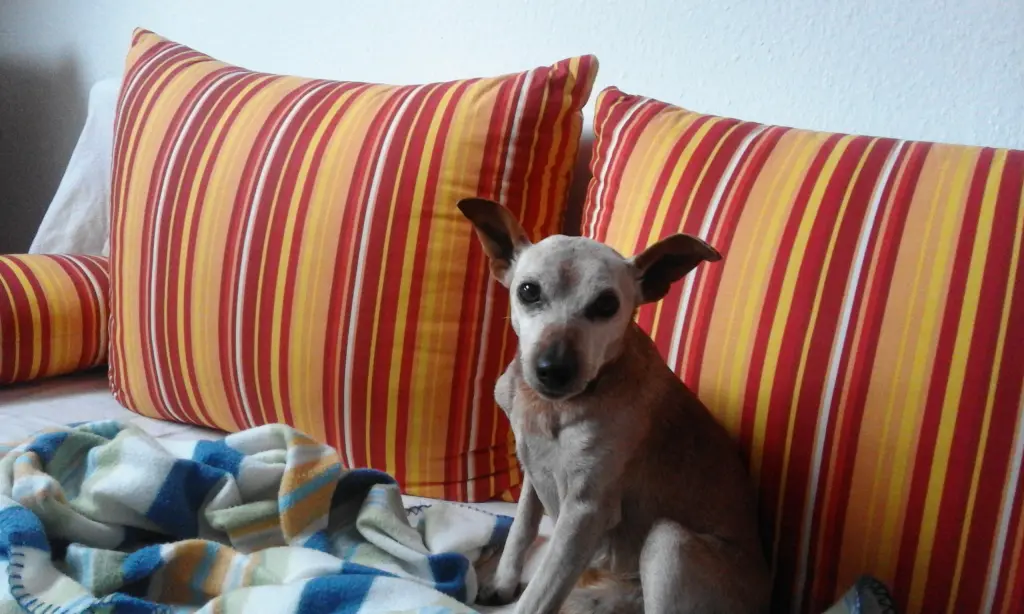 Condolence image of Jutta