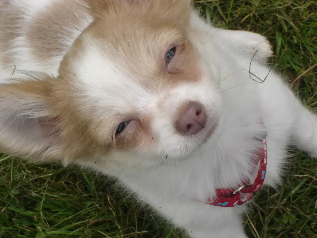 Bild von Emma