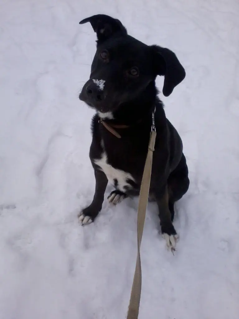 Image from Nele