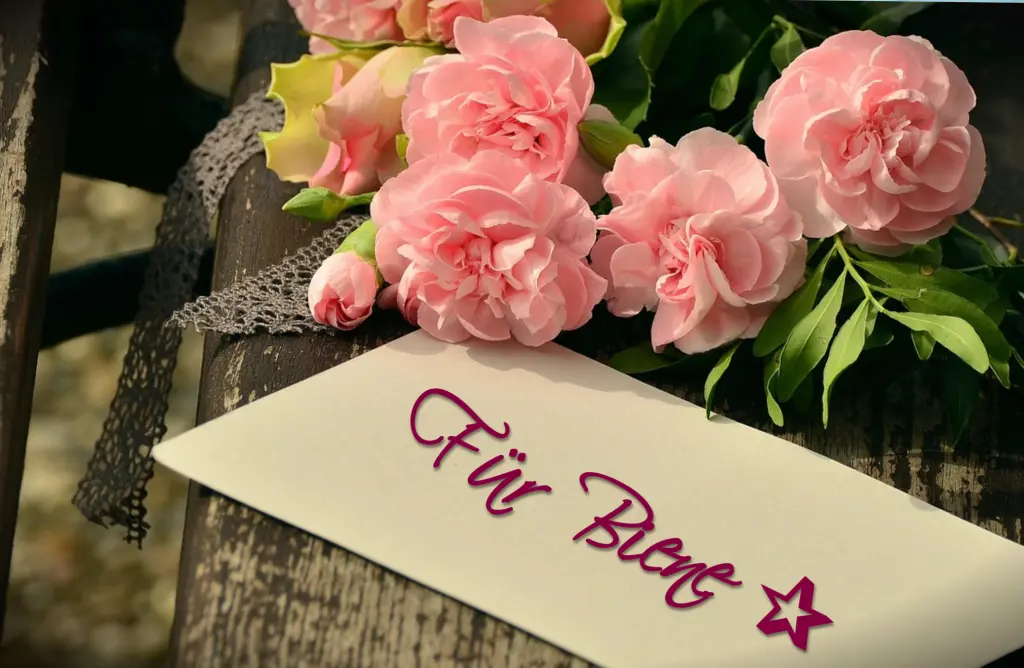 Condolence image of Für 🥀♡Biene ♡🥀 zum✰ Monatsgedenktag✰