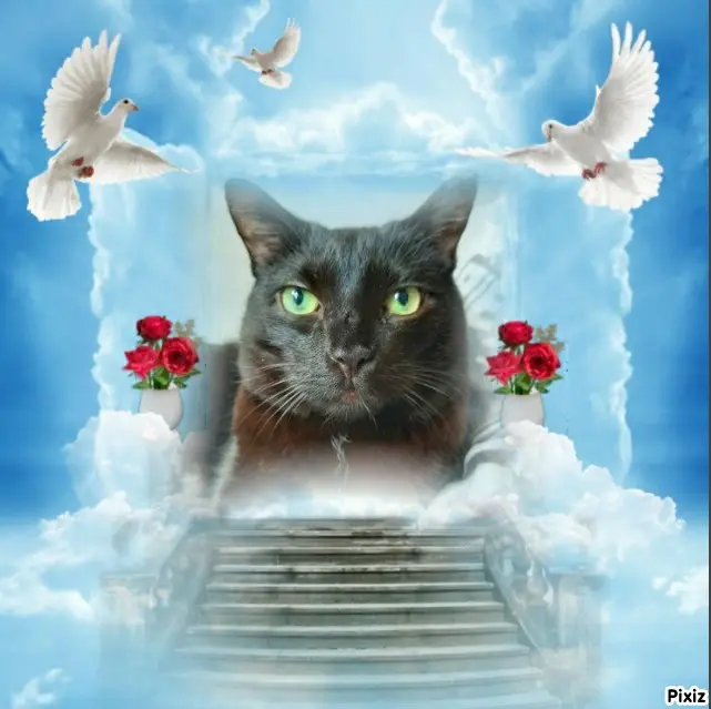 Andachtsbild von Tanja mit Timmy im Herzen