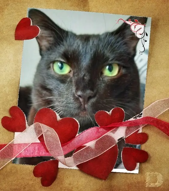 Andachtsbild von Andrea mit Minki im ♥️ gest. 19.10.2020