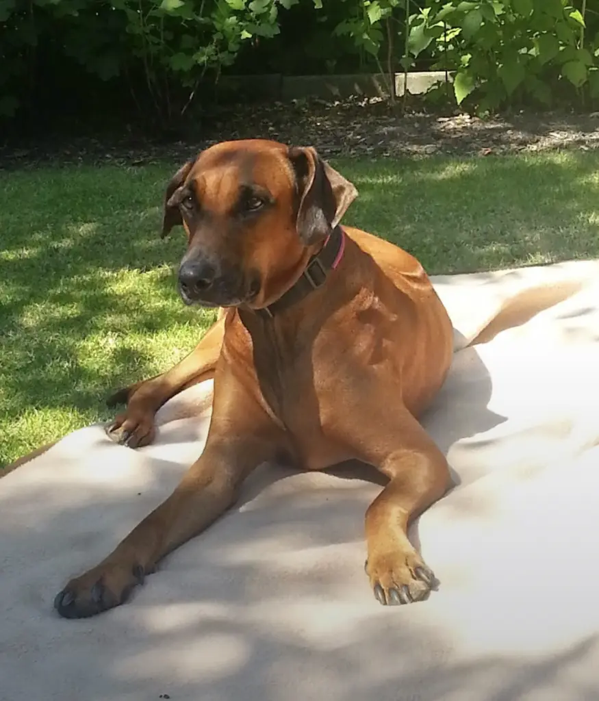 Image from Holly
