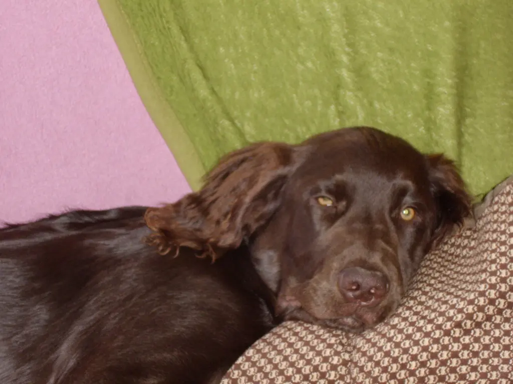 Condolence image of Ivonne