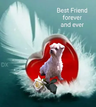 Condolence image of Krzysztof und Ewa mit Jacki tief im Herzen ❤