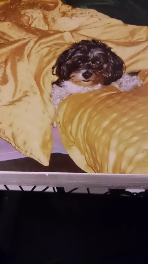 Condolence image of Sigrid
