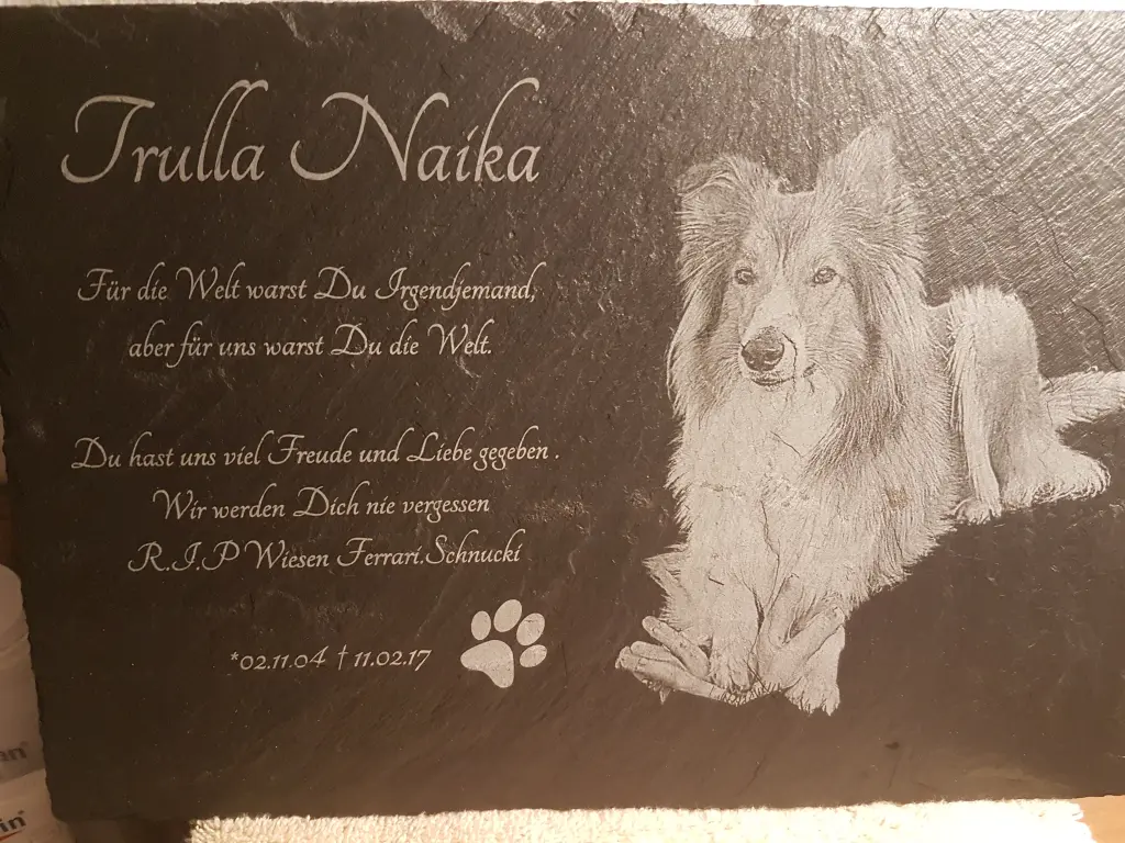 Image from Naika
