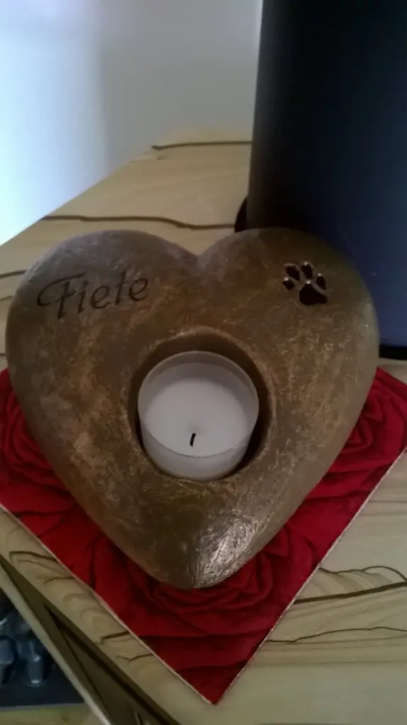 Image from Fiete 