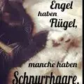 Condolence image of Annemarie und Elke mit Snoopy im Herzen gest.04.01.2022