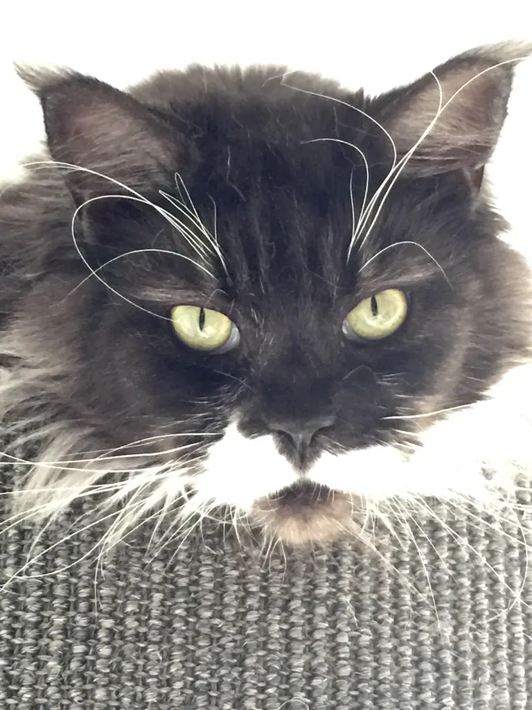 Condolence image of Birgit