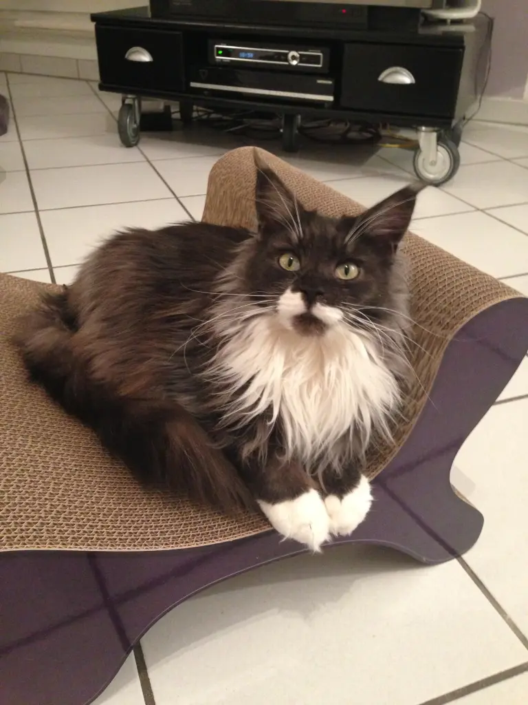 Condolence image of Birgit