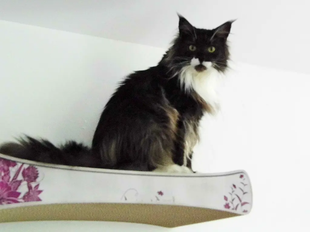 Condolence image of Birgit