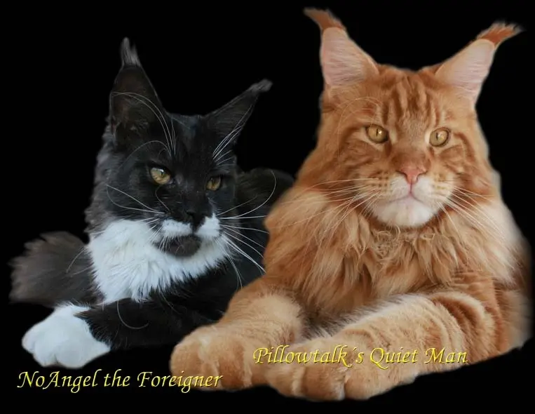 Condolence image of Birgit