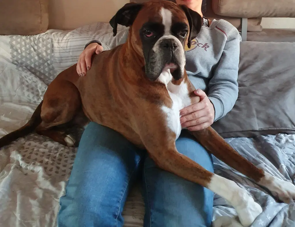 Condolence image of Karina und Jörg mit Floyd im ❤
