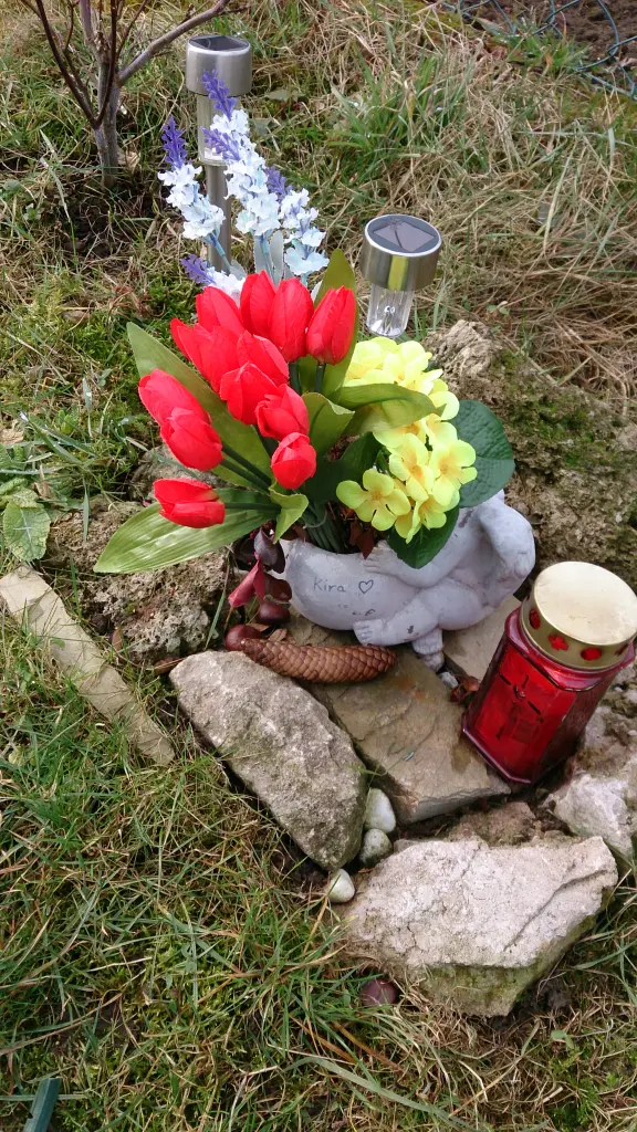 Condolence image of Sigrid 