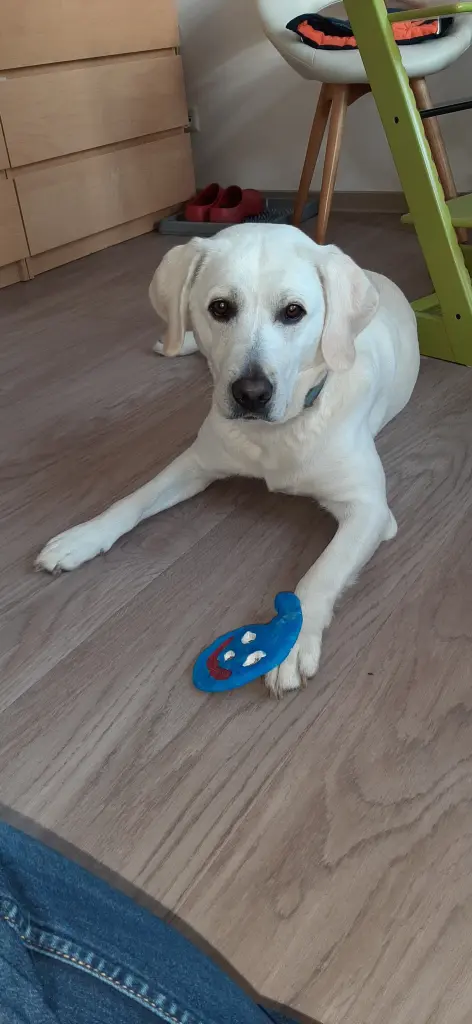 Andachtsbild von Conni und Lilly