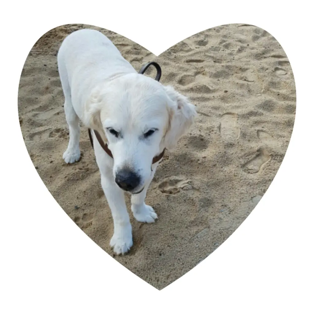 Condolence image of Anita