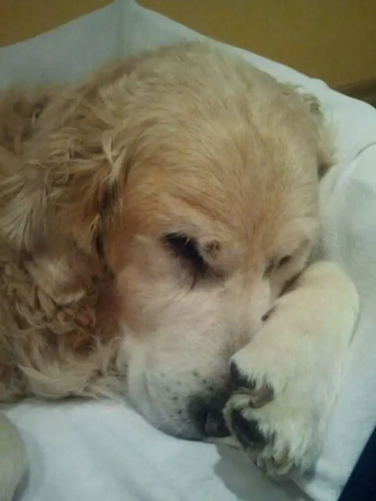 Condolence image of Anita