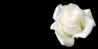 Condolence image of Anita