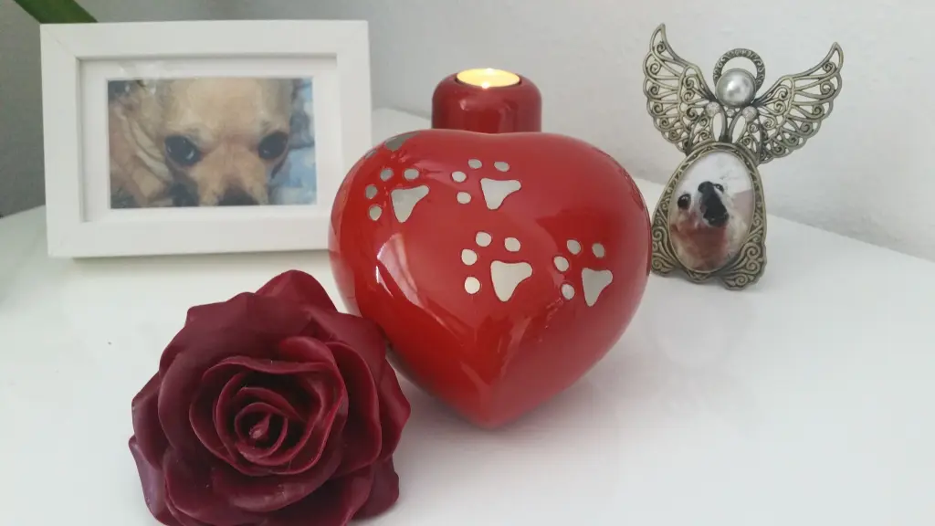 Condolence image of Evelyn Jeffries