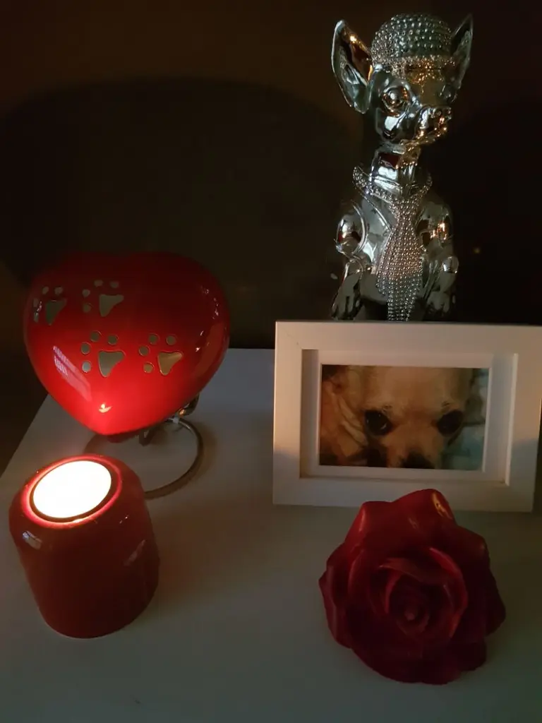 Condolence image of Evelyn Jeffries