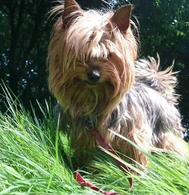 Image from Daisy