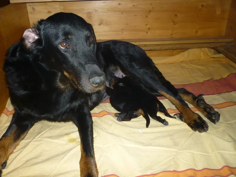 Image from Hilde