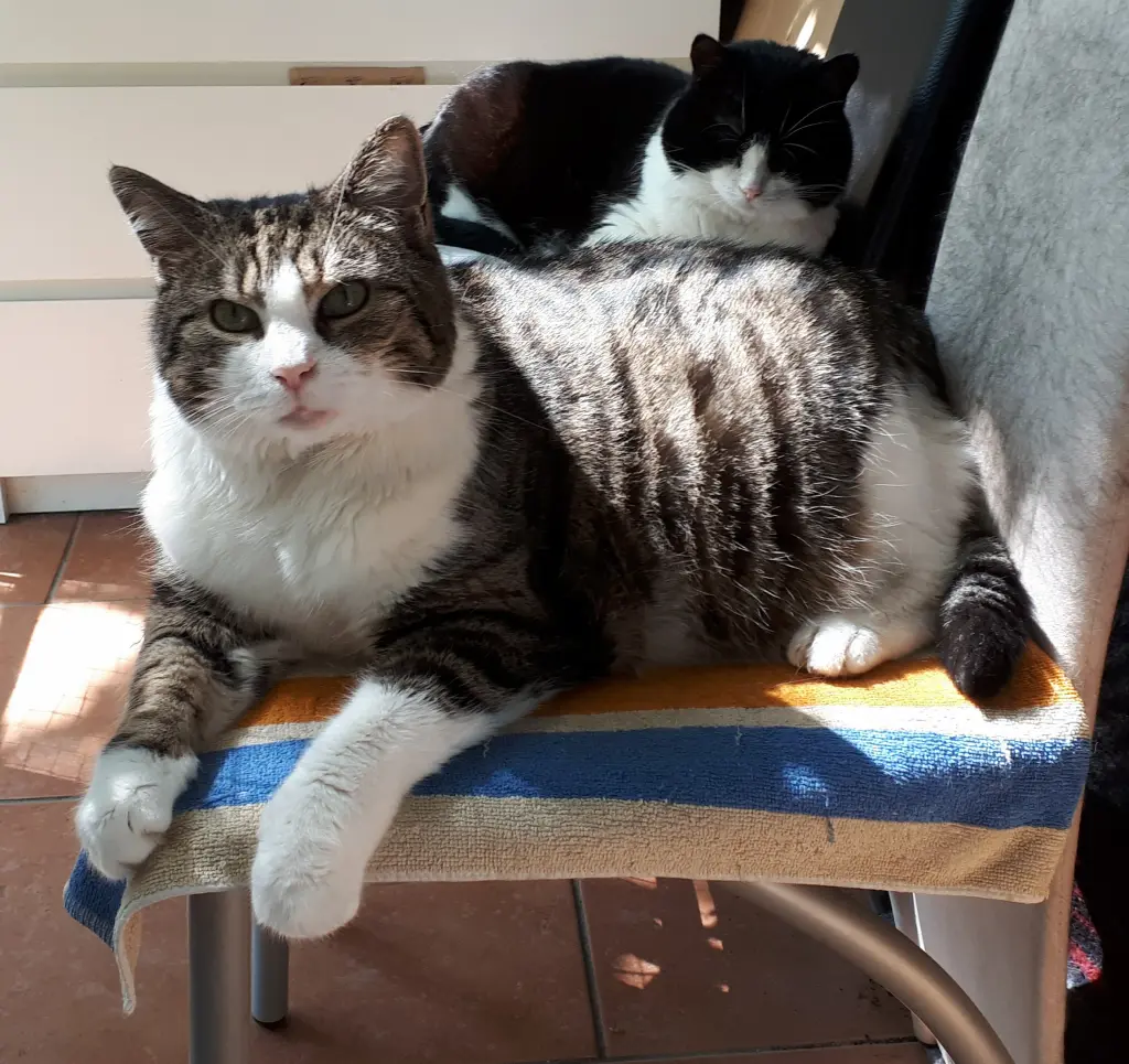 Image from Nuschka