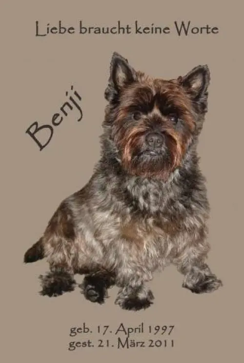 Image from Benji