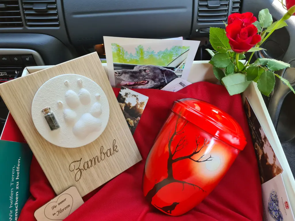 Condolence image of Jennifer 