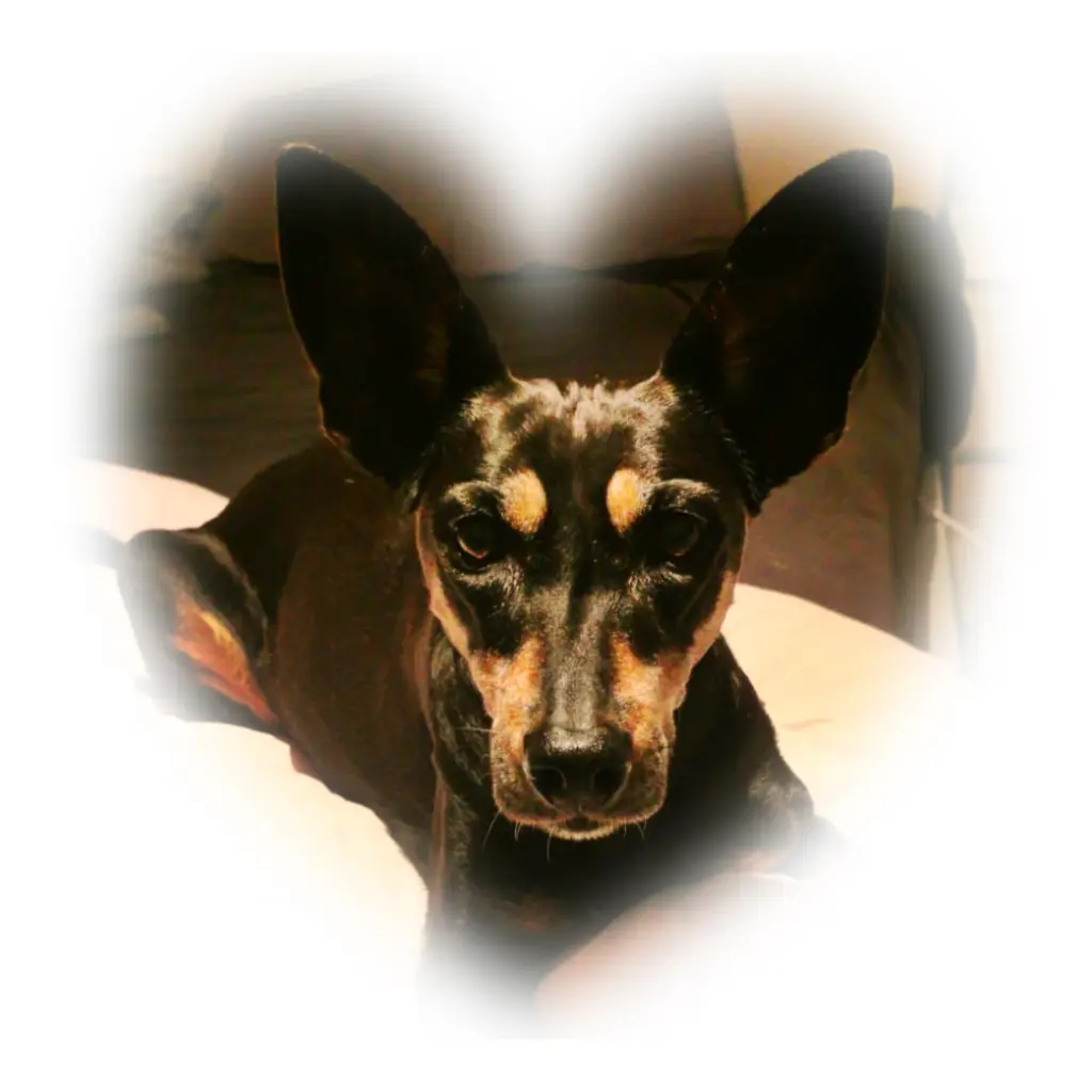 Image from Enja