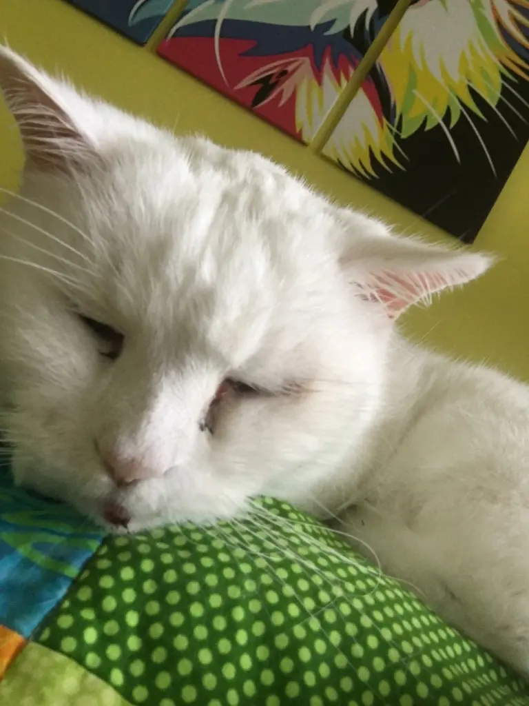 Condolence image of Alexandra