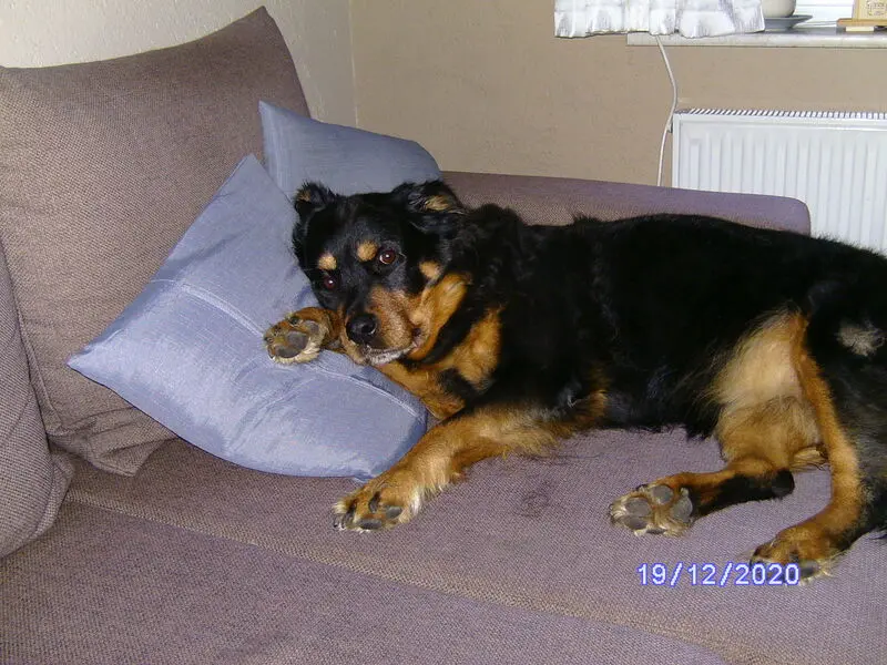 Andachtsbild von Angelika