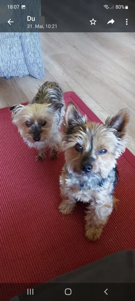 Andachtsbild von Elke