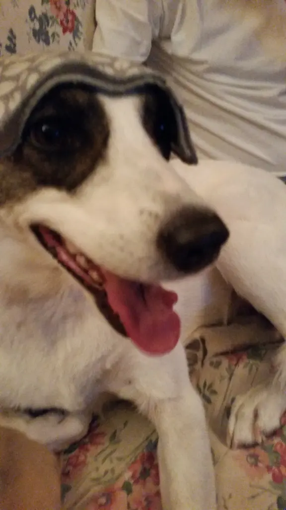 Andachtsbild von Ulla