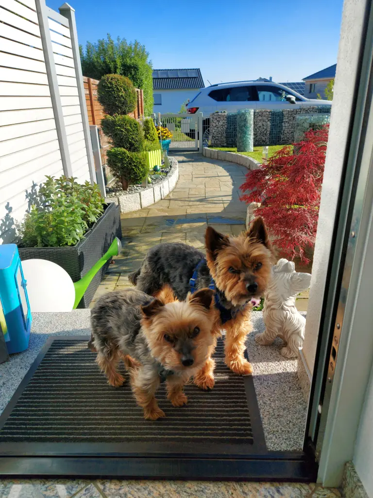 Andachtsbild von Elke mit Max im Herzen