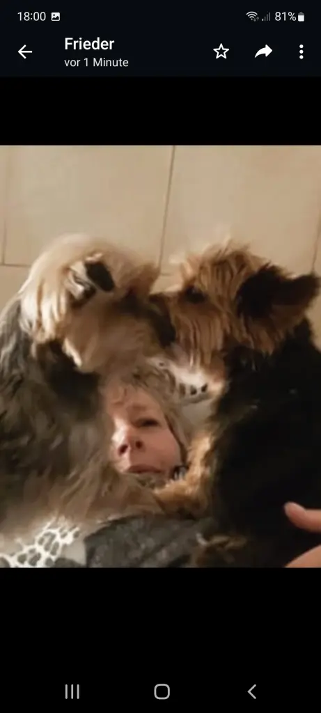 Andachtsbild von Elke mit Max im Herzen