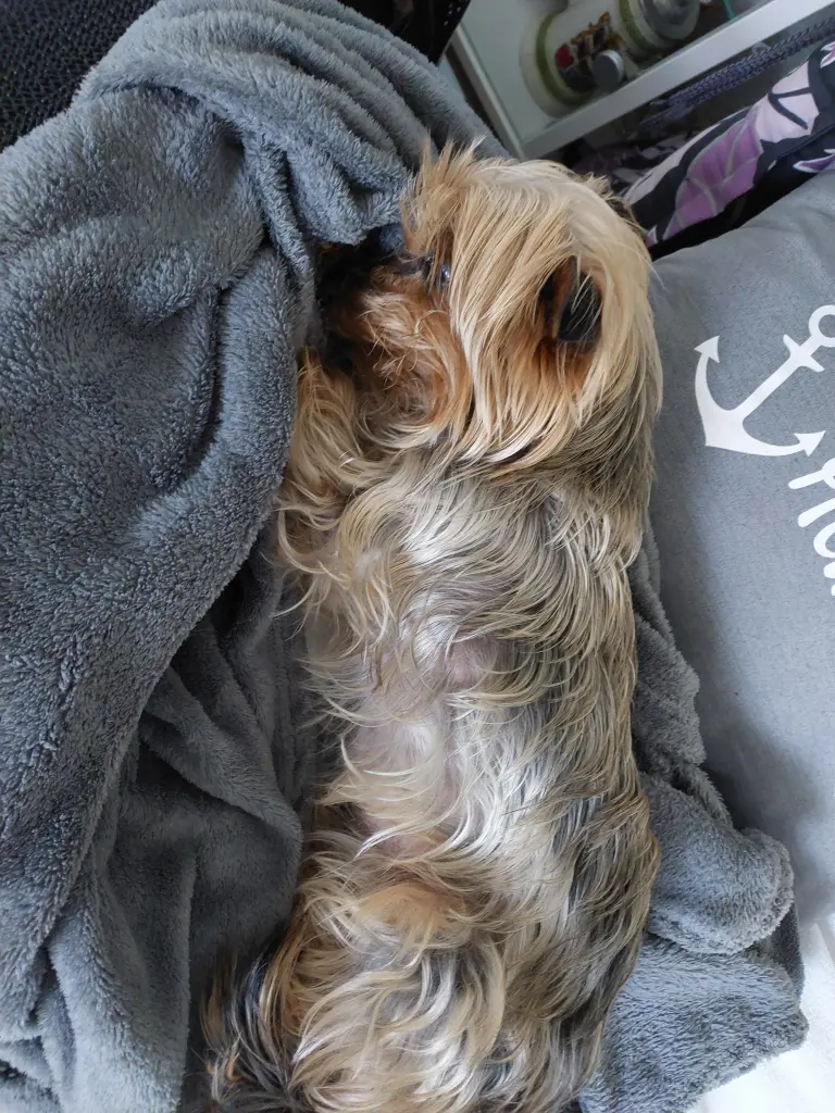 Andachtsbild von Elke mit Max im Herzen