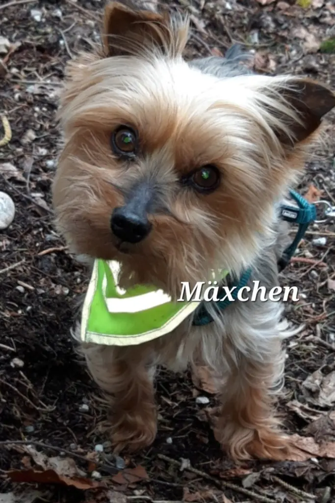 Andachtsbild von Elke mit Max im Herzen 