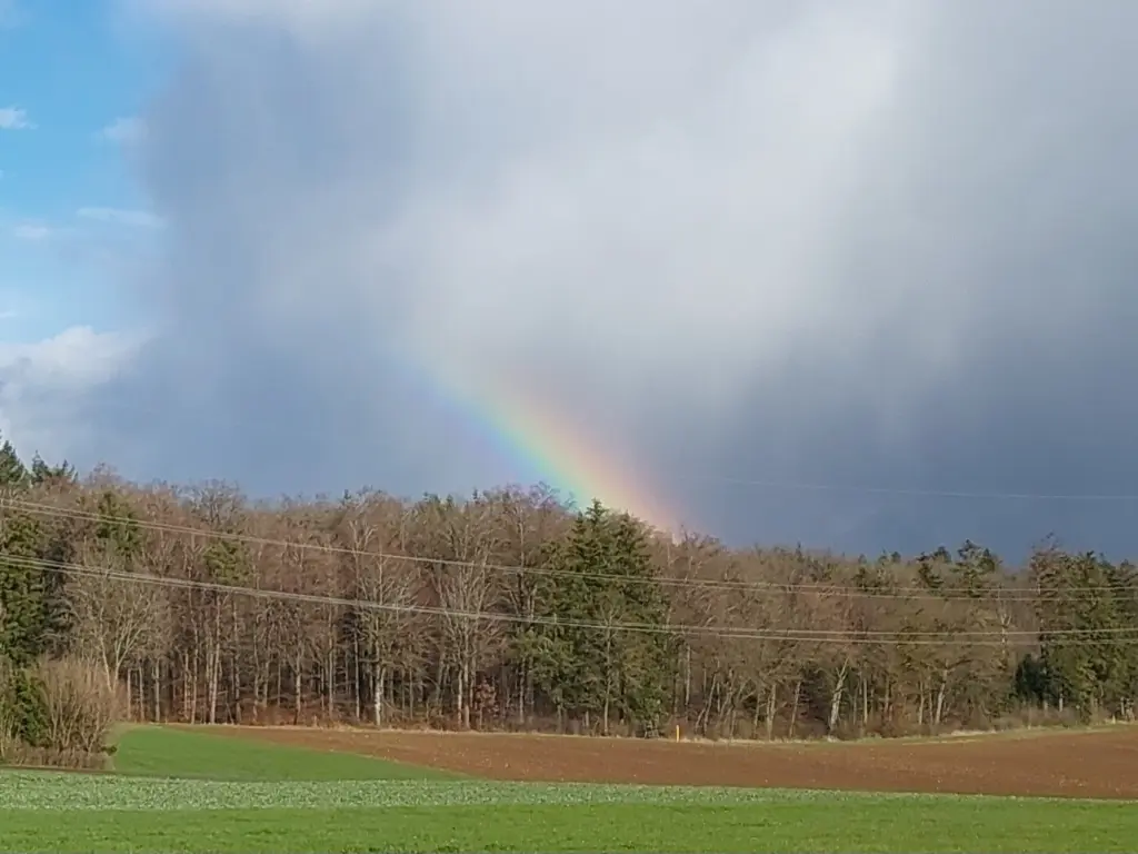 Andachtsbild von Elke für Max 