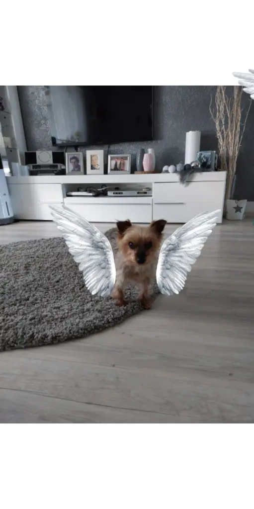 Andachtsbild von Elke für Max 