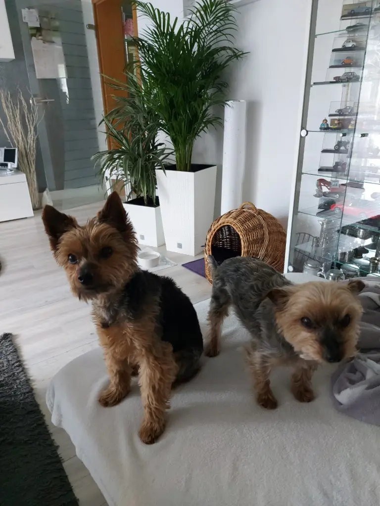 Andachtsbild von Elke für Max