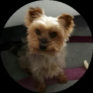 Andachtsbild von Elke für Max