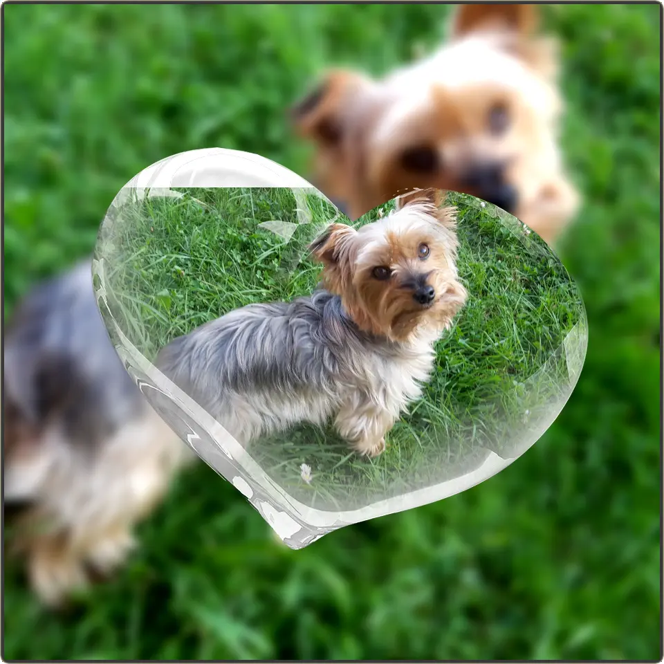 Andachtsbild von Elke für Max